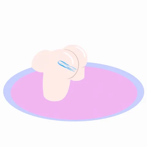LILYSUCK 2 PCS ABSORBENT STICKS view 4