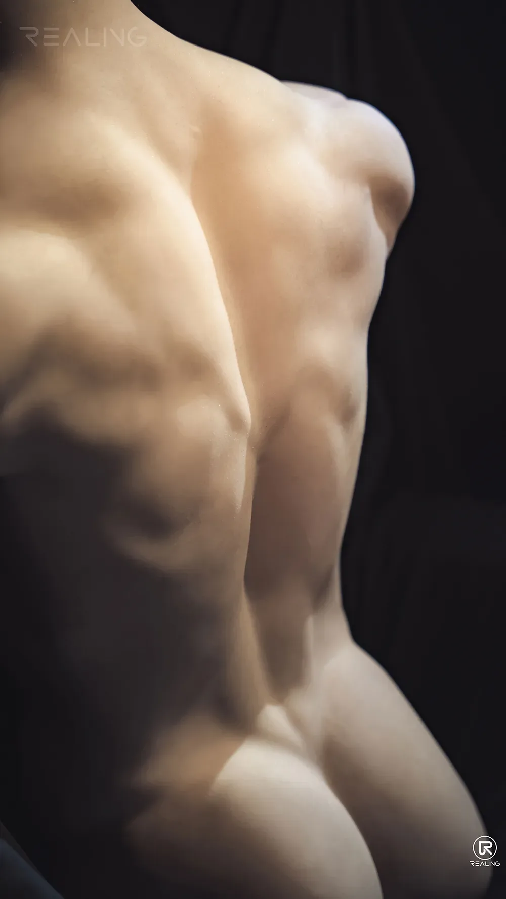 LUCIUS - SILICONE HEAD & TPE BODY YOUNG MALE SEX DOLL TORSO view 2