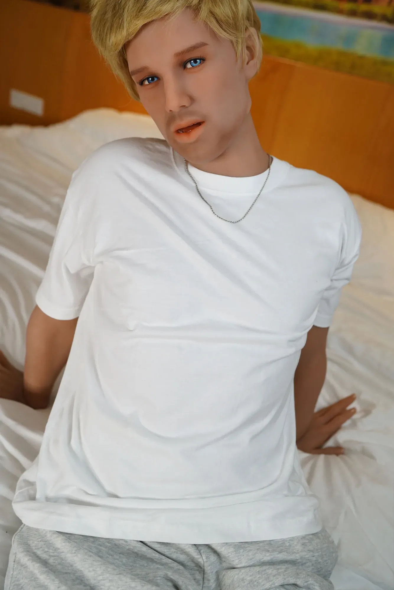 5FT6/172CM TPE MALE BLONDE SEX DOLL - DANNIE view 6